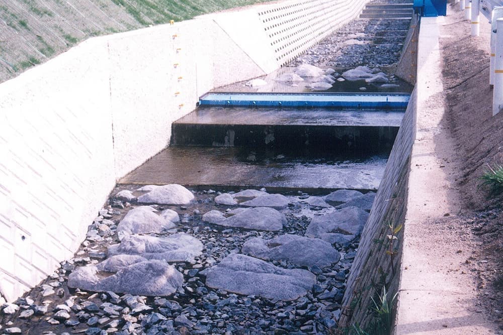 擬石型護床ブロック